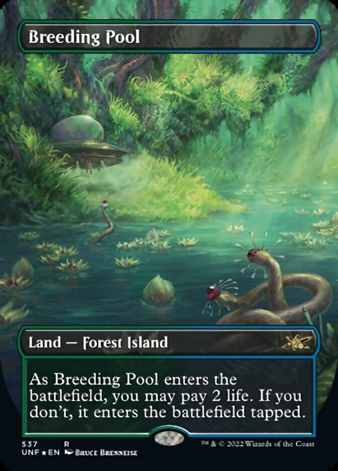 Breeding Pool (Borderless) (Galaxy Foil) [Unfinity] | Mindsight Gaming