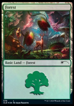 Forest (Predatory) (578) [Secret Lair Drop Promos] | Mindsight Gaming