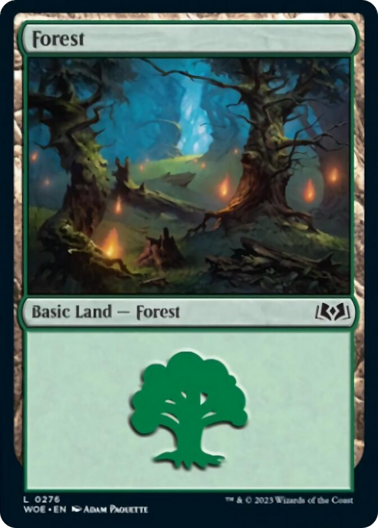 Forest (0276) [Wilds of Eldraine] | Mindsight Gaming
