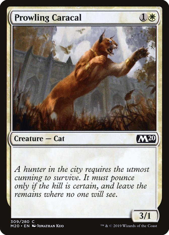 Prowling Caracal [Core Set 2020] | Mindsight Gaming