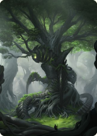 Forest Art Card [The Brothers' War Art Series] | Mindsight Gaming