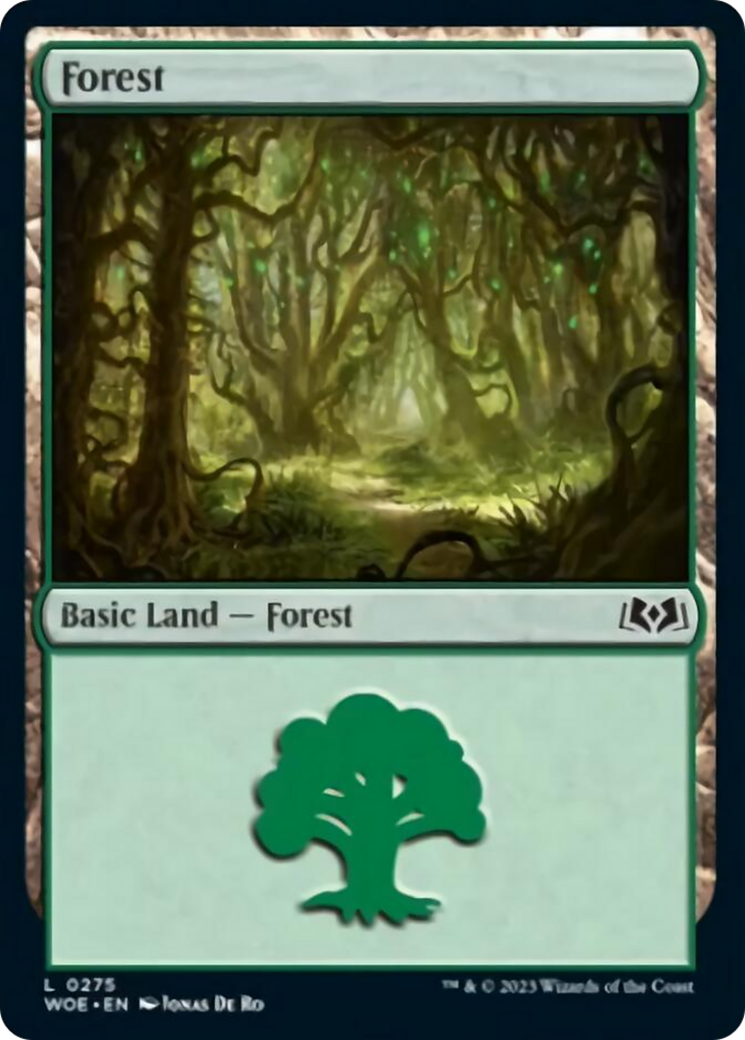 Forest (0275) [Wilds of Eldraine] | Mindsight Gaming