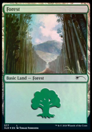 Forest (Walls) (577) [Secret Lair Drop Promos] | Mindsight Gaming