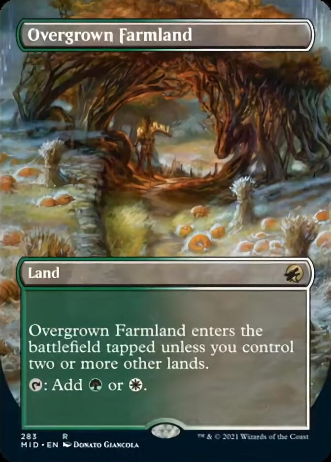 Overgrown Farmland (Borderless) [Innistrad: Midnight Hunt] | Mindsight Gaming