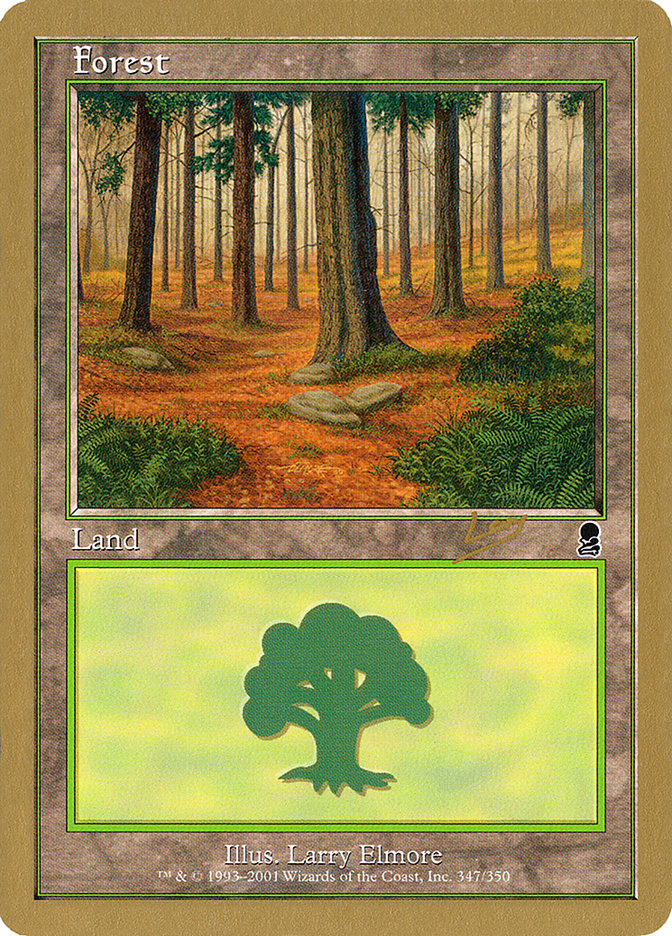 Forest (rl347) (Raphael Levy) [World Championship Decks 2002] | Mindsight Gaming
