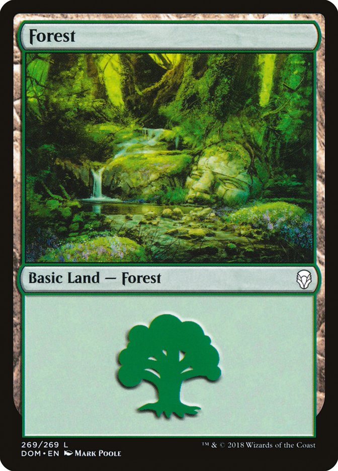 Forest (269) [Dominaria] | Mindsight Gaming