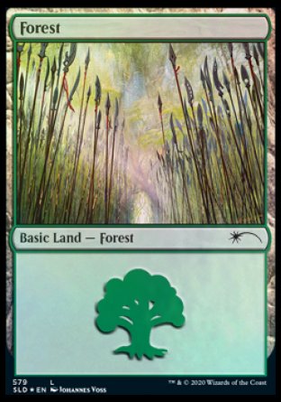 Forest (Elves) (579) [Secret Lair Drop Promos] | Mindsight Gaming