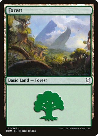 Forest (267) [Dominaria] | Mindsight Gaming