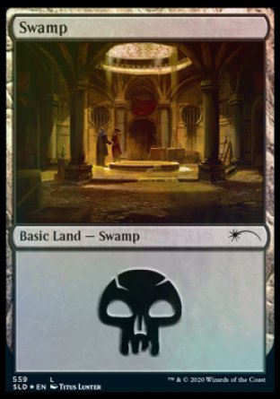 Swamp (Rogues) (559) [Secret Lair Drop Promos] | Mindsight Gaming