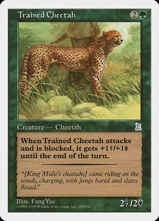 Trained Cheetah [Portal Three Kingdoms] | Mindsight Gaming