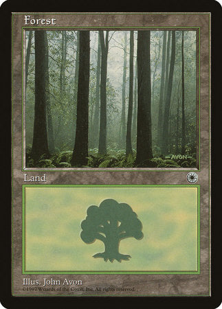 Forest (Ferns on Ground) [Portal] | Mindsight Gaming