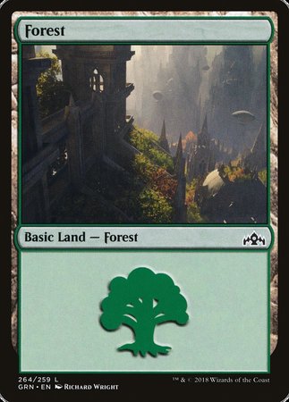 Forest [Guilds of Ravnica] | Mindsight Gaming