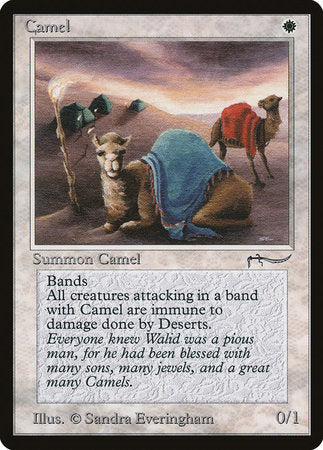 Camel [Arabian Nights] | Mindsight Gaming